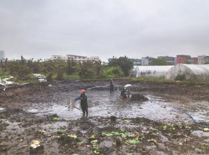 无锡河道鱼塘清淤